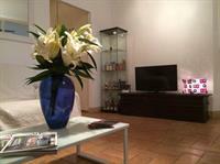 Apartment Purple Tulip Rom
